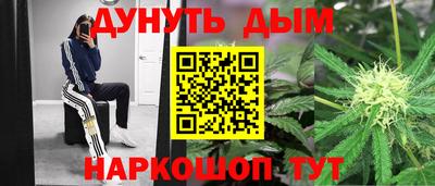 стафф Новодвинск
