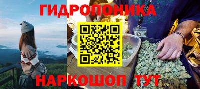 МДПВ Новокубанск