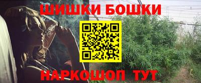 МДПВ Новокубанск