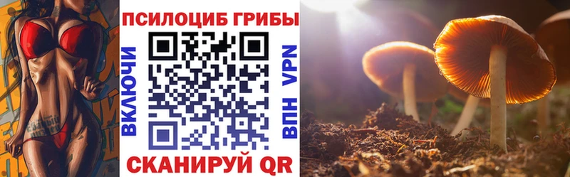 дарк нет формула  Геленджик  Псилоцибиновые грибы ЛСД 